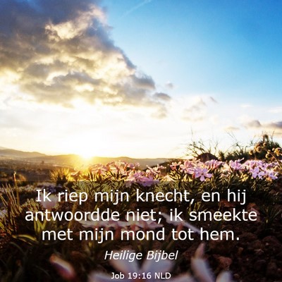 Picture 03 - Job 19:16 NLD - Ik riep mijn knecht, en hij antwoordde niet; ik - Bible Verse Picture