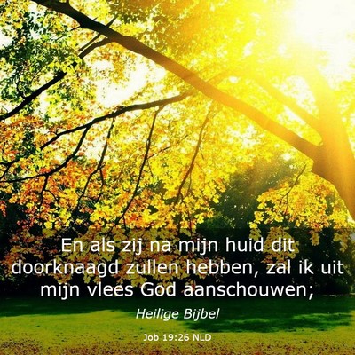 Picture 03 - Job 19:26 NLD - En als zij na mijn huid dit doorknaagd zullen - Bible Verse Picture