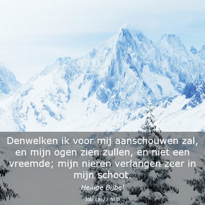 Picture 03 - Job 19:27 NLD - Denwelken ik voor mij aanschouwen zal, en mijn - Bible Verse Picture