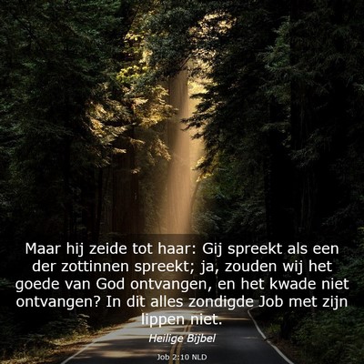 Picture 03 - Job 2:10 NLD - Maar hij zeide tot haar: Gij spreekt als een der - Bible Verse Picture
