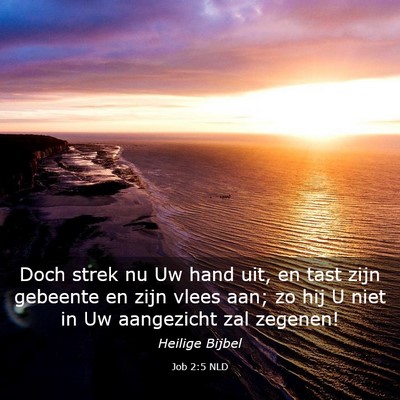 Picture 03 - Job 2:5 NLD - Doch strek nu Uw hand uit, en tast zijn gebeente - Bible Verse Picture