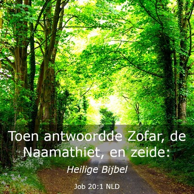 Picture 03 - Job 20:1 NLD - Toen antwoordde Zofar, de Naamathiet, en - Bible Verse Picture