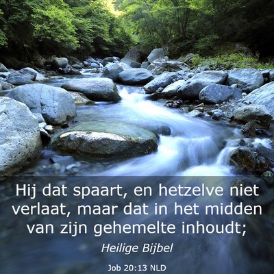 Picture 03 - Job 20:13 NLD - Hij dat spaart, en hetzelve niet verlaat, maar - Bible Verse Picture