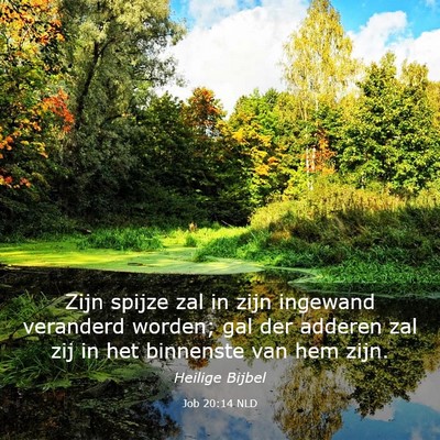 Picture 03 - Job 20:14 NLD - Zijn spijze zal in zijn ingewand veranderd - Bible Verse Picture