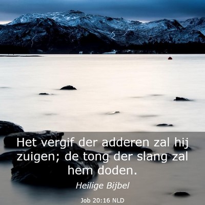 Picture 03 - Job 20:16 NLD - Het vergif der adderen zal hij zuigen; de tong - Bible Verse Picture