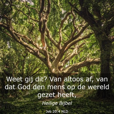 Picture 03 - Job 20:4 NLD - Weet gij dit? Van altoos af, van dat God den mens - Bible Verse Picture