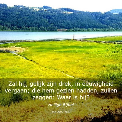 Picture 03 - Job 20:7 NLD - Zal hij, gelijk zijn drek, in eeuwigheid vergaan; - Bible Verse Picture