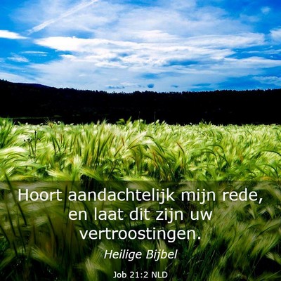 Picture 03 - Job 21:2 NLD - Hoort aandachtelijk mijn rede, en laat dit zijn - Bible Verse Picture