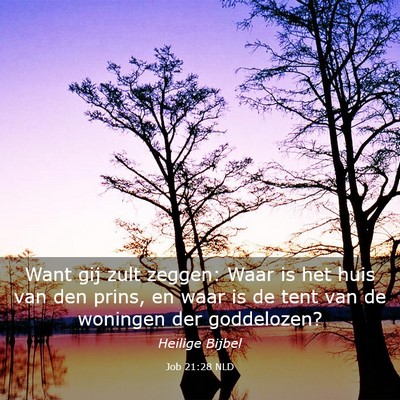 Picture 03 - Job 21:28 NLD - Want gij zult zeggen: Waar is het huis van den - Bible Verse Picture