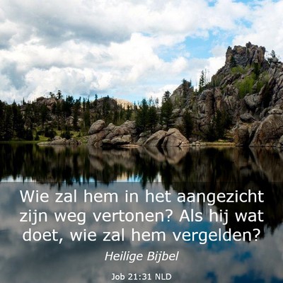 Picture 03 - Job 21:31 NLD - Wie zal hem in het aangezicht zijn weg vertonen? - Bible Verse Picture