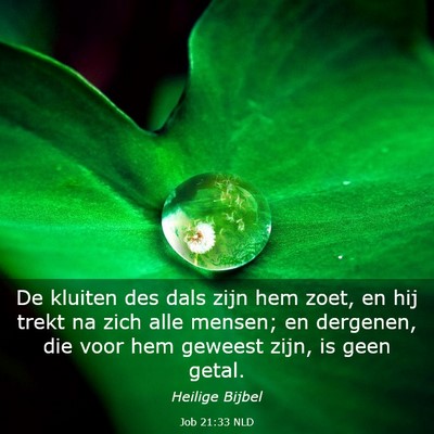 Picture 03 - Job 21:33 NLD - De kluiten des dals zijn hem zoet, en hij trekt - Bible Verse Picture