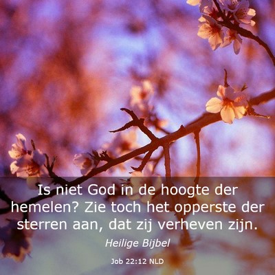 Picture 03 - Job 22:12 NLD - Is niet God in de hoogte der hemelen? Zie toch - Bible Verse Picture