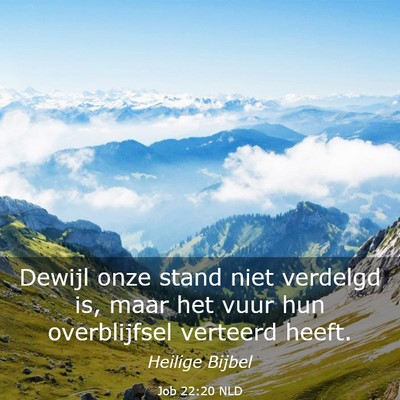 Picture 03 - Job 22:20 NLD - Dewijl onze stand niet verdelgd is, maar het vuur - Bible Verse Picture