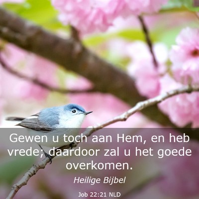 Picture 03 - Job 22:21 NLD - Gewen u toch aan Hem, en heb vrede; daardoor zal - Bible Verse Picture