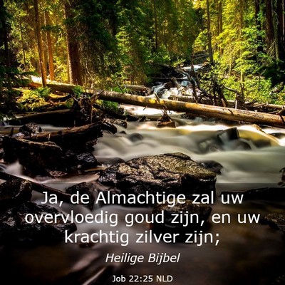 Picture 03 - Job 22:25 NLD - Ja, de Almachtige zal uw overvloedig goud zijn, - Bible Verse Picture