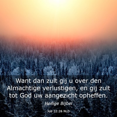 Picture 03 - Job 22:26 NLD - Want dan zult gij u over den Almachtige - Bible Verse Picture