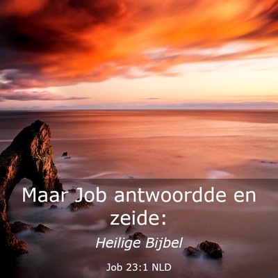 Picture 03 - Job 23:1 NLD - Maar Job antwoordde en - Bible Verse Picture