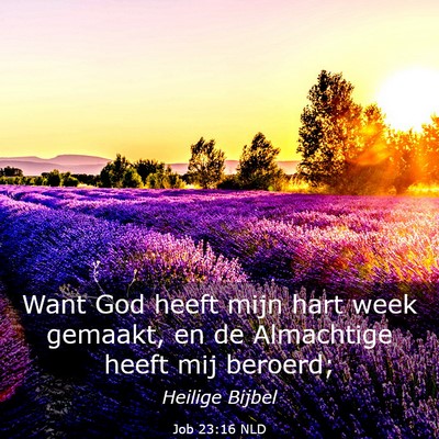 Picture 03 - Job 23:16 NLD - Want God heeft mijn hart week gemaakt, en de - Bible Verse Picture