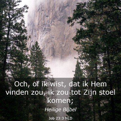 Picture 03 - Job 23:3 NLD - Och, of ik wist, dat ik Hem vinden zou, ik zou - Bible Verse Picture