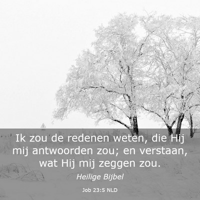 Picture 03 - Job 23:5 NLD - Ik zou de redenen weten, die Hij mij antwoorden - Bible Verse Picture