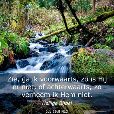 Picture 03 - Job 23:8 NLD - Zie, ga ik voorwaarts, zo is Hij er niet, of - Bible Verse Picture