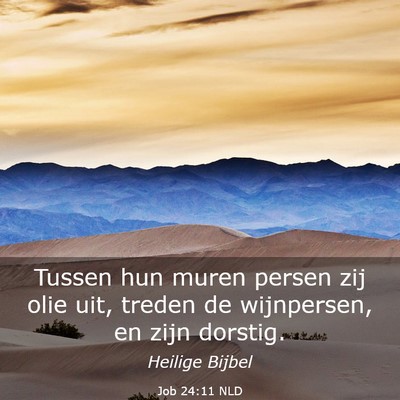 Picture 03 - Job 24:11 NLD - Tussen hun muren persen zij olie uit, treden de - Bible Verse Picture