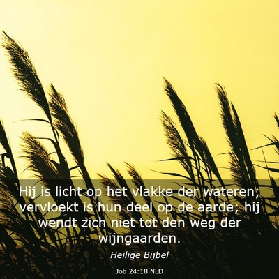 Picture 03 - Job 24:18 NLD - Hij is licht op het vlakke der wateren; vervloekt - Bible Verse Picture