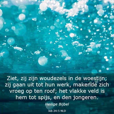 Picture 03 - Job 24:5 NLD - Ziet, zij zijn woudezels in de woestijn; zij gaan - Bible Verse Picture