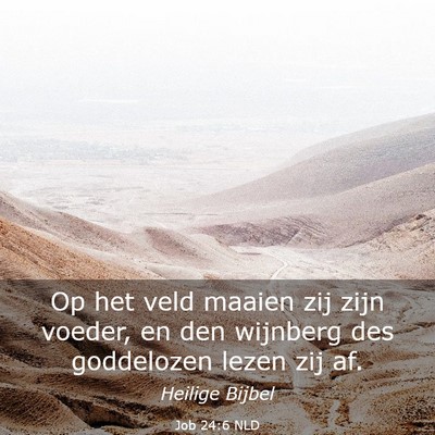 Picture 03 - Job 24:6 NLD - Op het veld maaien zij zijn voeder, en den - Bible Verse Picture