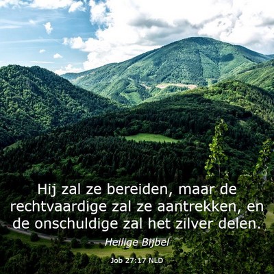 Picture 03 - Job 27:17 NLD - Hij zal ze bereiden, maar de rechtvaardige zal ze - Bible Verse Picture