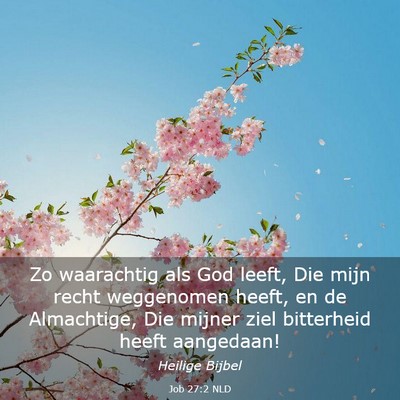 Picture 03 - Job 27:2 NLD - Zo waarachtig als God leeft, Die mijn recht - Bible Verse Picture