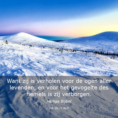 Picture 03 - Job 28:21 NLD - Want zij is verholen voor de ogen aller levenden, - Bible Verse Picture