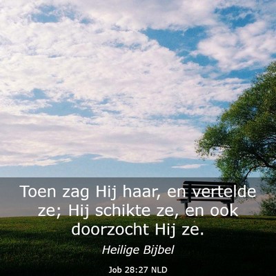Picture 03 - Job 28:27 NLD - Toen zag Hij haar, en vertelde ze; Hij schikte - Bible Verse Picture