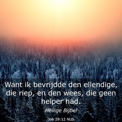 Picture 03 - Job 29:12 NLD - Want ik bevrijdde den ellendige, die riep, en den - Bible Verse Picture