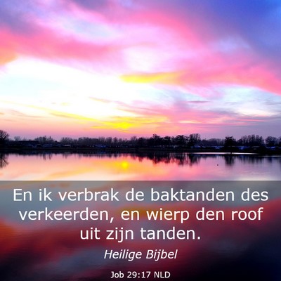 Picture 03 - Job 29:17 NLD - En ik verbrak de baktanden des verkeerden, en - Bible Verse Picture