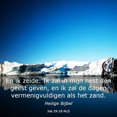 Picture 03 - Job 29:18 NLD - En ik zeide: Ik zal in mijn nest den geest geven, - Bible Verse Picture