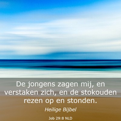 Picture 03 - Job 29:8 NLD - De jongens zagen mij, en verstaken zich, en de - Bible Verse Picture