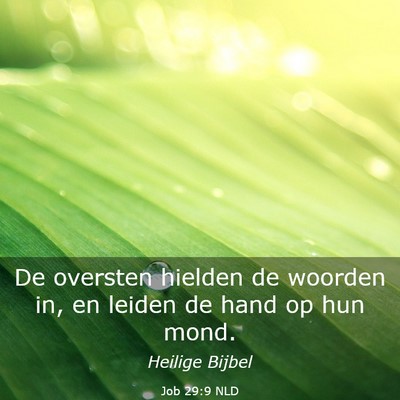 Picture 03 - Job 29:9 NLD - De oversten hielden de woorden in, en leiden de - Bible Verse Picture