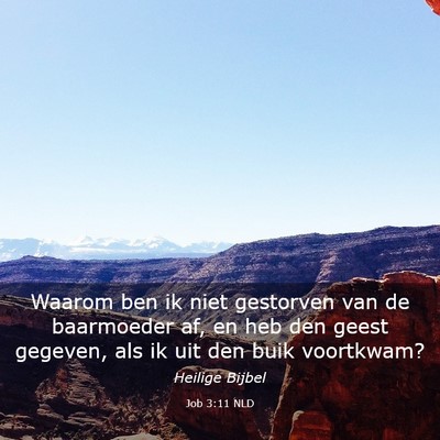 Picture 03 - Job 3:11 NLD - Waarom ben ik niet gestorven van de baarmoeder - Bible Verse Picture