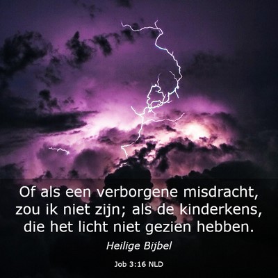 Picture 03 - Job 3:16 NLD - Of als een verborgene misdracht, zou ik niet - Bible Verse Picture