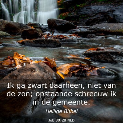 Picture 03 - Job 30:28 NLD - Ik ga zwart daarheen, niet van de zon; opstaande - Bible Verse Picture