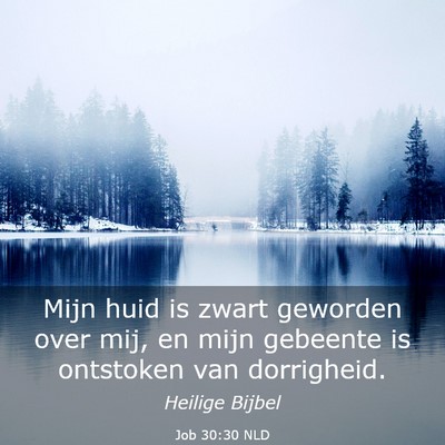 Picture 03 - Job 30:30 NLD - Mijn huid is zwart geworden over mij, en mijn - Bible Verse Picture