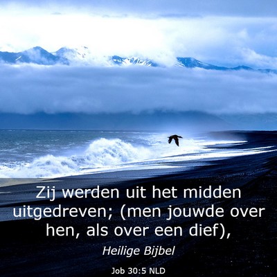 Picture 03 - Job 30:5 NLD - Zij werden uit het midden uitgedreven; (men - Bible Verse Picture