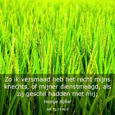 Picture 03 - Job 31:13 NLD - Zo ik versmaad heb het recht mijns knechts, of - Bible Verse Picture