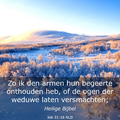 Picture 03 - Job 31:16 NLD - Zo ik den armen hun begeerte onthouden heb, of de - Bible Verse Picture