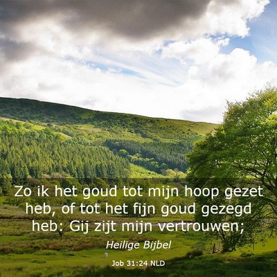 Picture 03 - Job 31:24 NLD - Zo ik het goud tot mijn hoop gezet heb, of tot - Bible Verse Picture