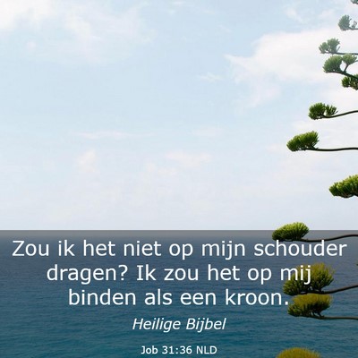 Picture 03 - Job 31:36 NLD - Zou ik het niet op mijn schouder dragen? Ik zou - Bible Verse Picture