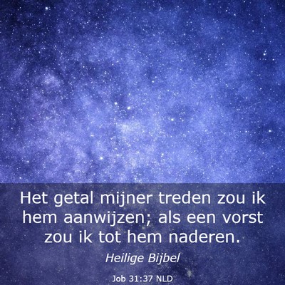 Picture 03 - Job 31:37 NLD - Het getal mijner treden zou ik hem aanwijzen; als - Bible Verse Picture
