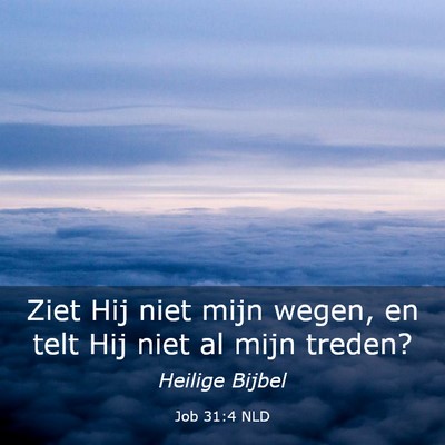 Picture 03 - Job 31:4 NLD - Ziet Hij niet mijn wegen, en telt Hij niet al - Bible Verse Picture