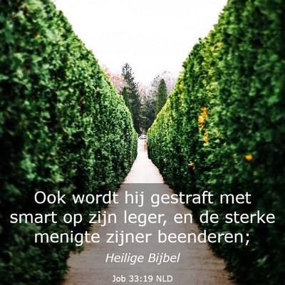Picture 03 - Job 33:19 NLD - Ook wordt hij gestraft met smart op zijn leger, - Bible Verse Picture